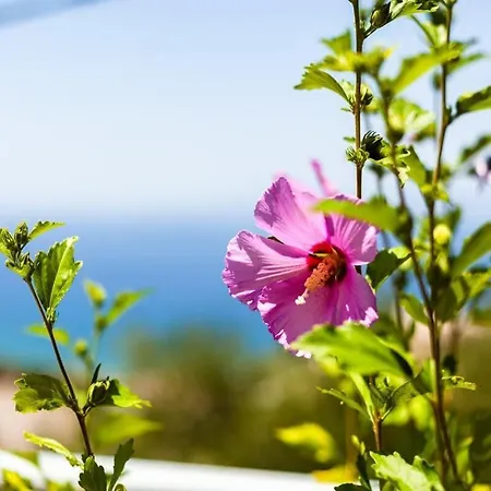 Aigli Summer Getaway - Seaview Lux Retreat *